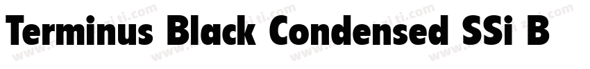 Terminus Black Condensed SSi Bold Condensed字体转换